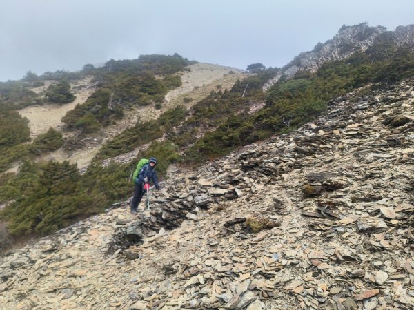 20240320 馬博8天縱走~第五天，馬里亞文路山，馬利加南山2471215