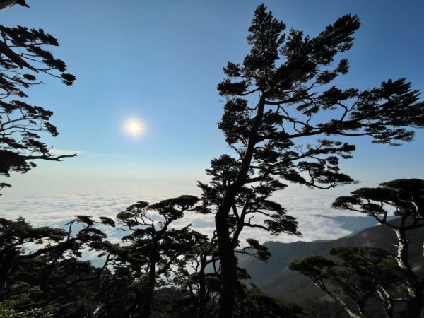 見證最美麗北大武山雲海、鐵杉1318889