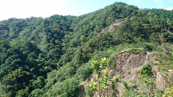 孝子山 ．慈母峰．普陀山．中央尖52632