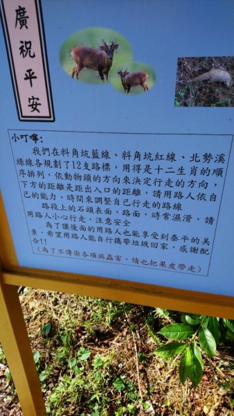 璀璨百年淡蘭古道～闊瀨古道、北勢溪古道、怣子坑古道、南豹子廚O走1260338