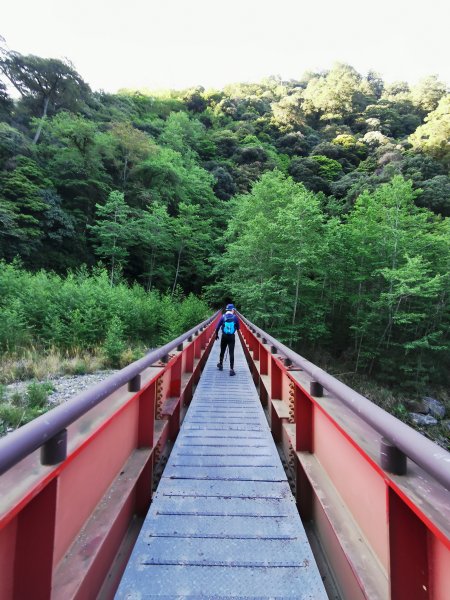 一日大霸群峰之高山杜鵑看好看滿 ( 大霸尖山、小霸尖山、伊澤山、加利山 )- 2021/5/21374748