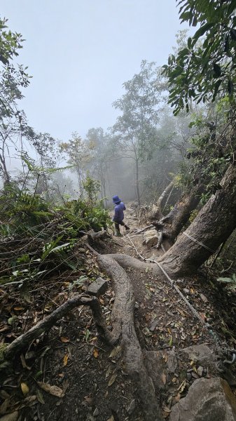 【美美兔走山趣】谷關抓雄-老六白毛2749982