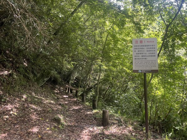 2025_0622 霞喀羅國家步道(石鹿端)2819524