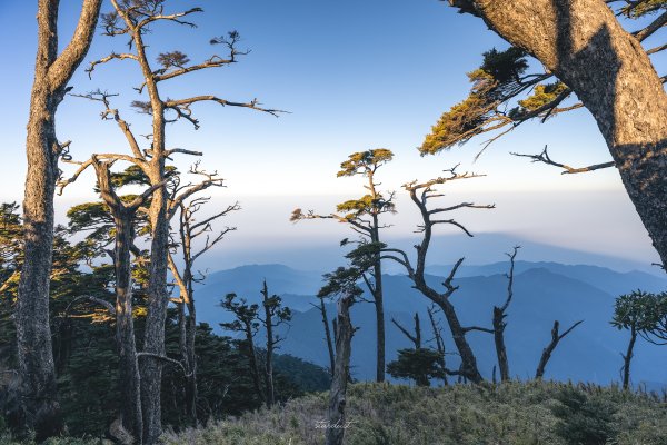 2021/02 北大武山看日出1262324