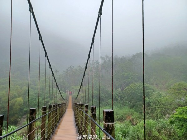 【雲林古坑】適合親子散散步。 華山小天梯情人橋1681744