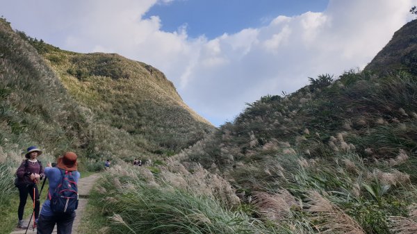 草嶺古道1419286