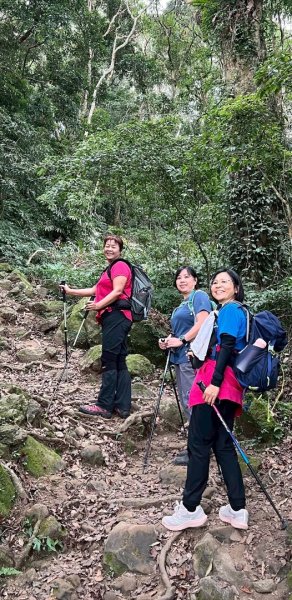 馬那邦山（珠湖登山口）2933987