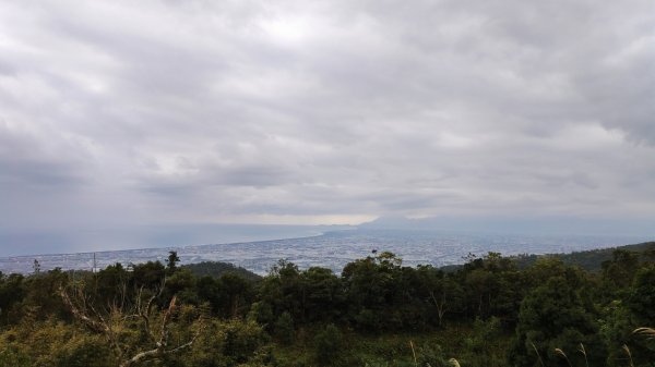 1090208鵲子山/跑馬古道/大金面山844267