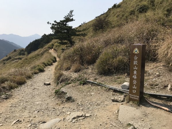 110年4月3日南投 合歡山東峰步道1433068