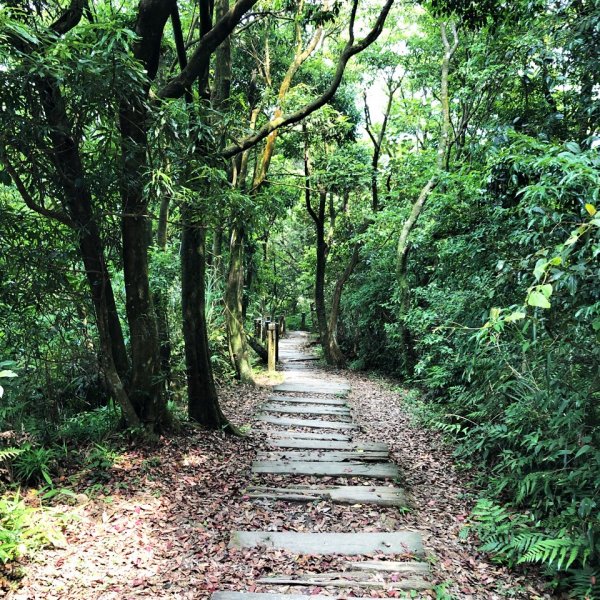 台灣小百岳編號020獅仔頭山1449124