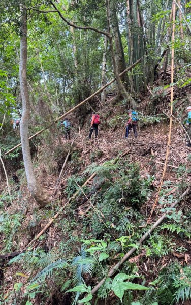 阿里眉山+大舌滿山（路跡不明/未竟 ）2866341
