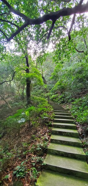 2021-09-20紅淡山登山步道1465685