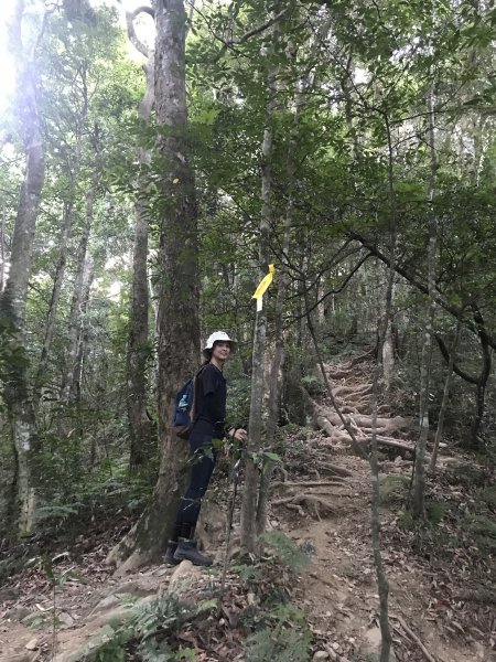 登山野營兩相宜~高島縱走1488836