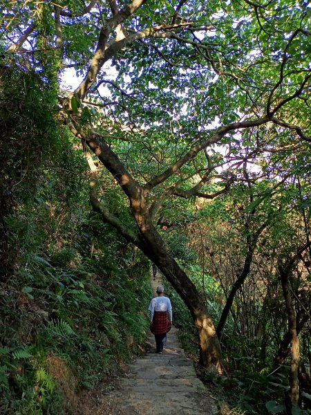 【臺北大縱走 5】劍潭山→文間山1242201