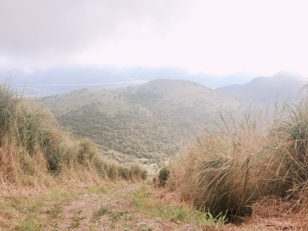 大屯山群峰步道738036