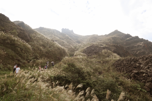 CP值超高的茶壺山步道74209