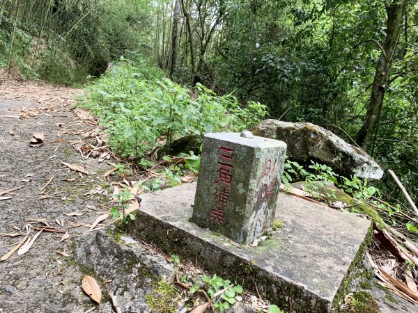 納涼去～頂湖上大凍山 20190622621384