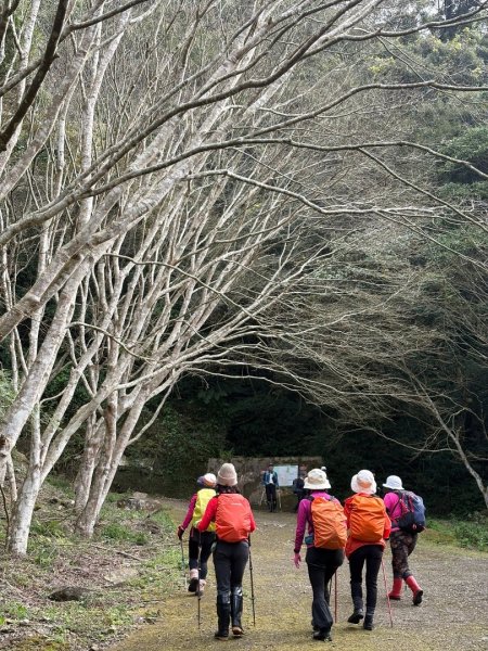 復興赫威神木2748206