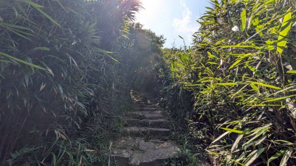 大屯山主峰步道3067620