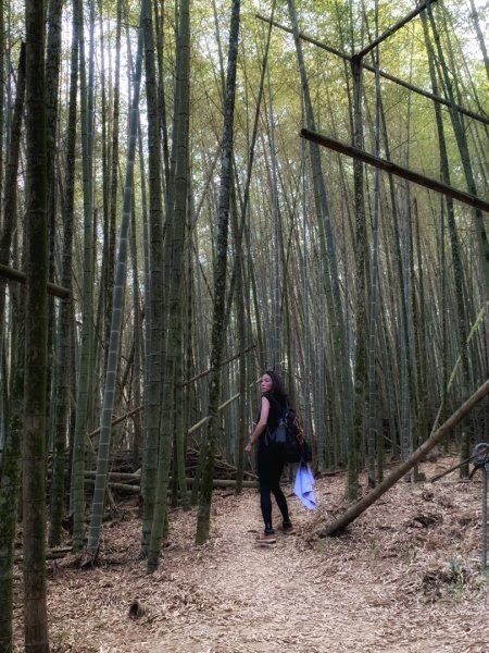 2021.03.14 「水社大山 」1307272