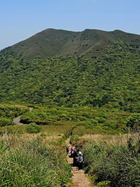 2025年臺北大縱走第二段： 二子坪至小油坑2763783