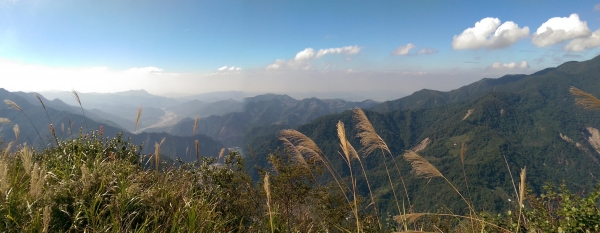 谷關七雄之東卯山23162