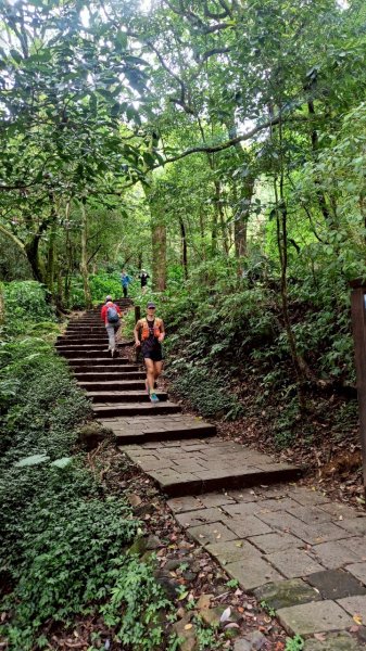 20250803_三進七星山(我的第四刷)2850693