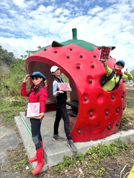 小百岳馬那邦山(H1407m)加碼採草莓2694719