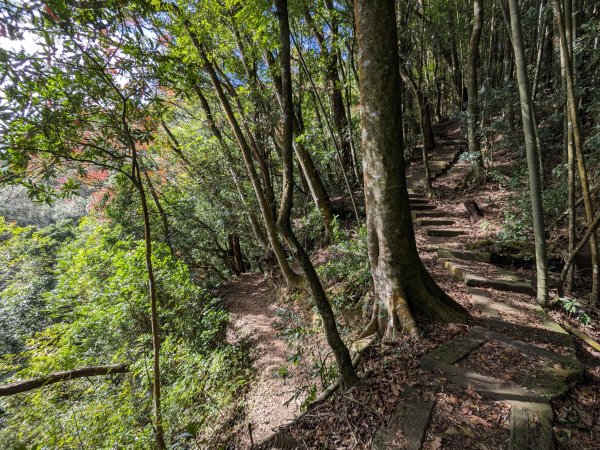 石壁山嘉南雲峰2400228