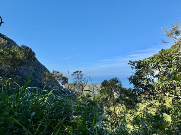 楓港紫竹林龍峰寺起登 里龍山(小百岳#80)來回2964454