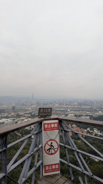 劍潭山親山步道2676449