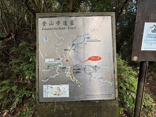 觀音山小木馬探路2703453