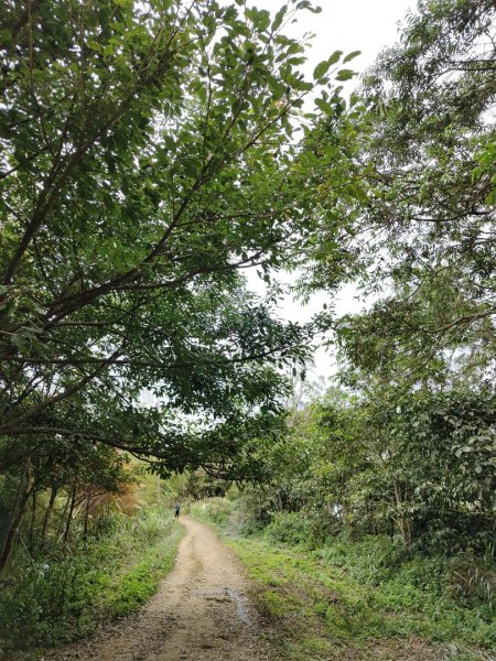 2023.12.30 雲嘉大尖山2840428