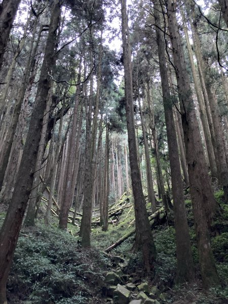 漫步特富野古道1604539