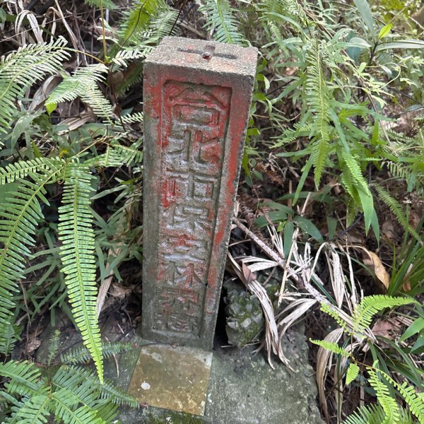 劍潭山+老地方觀機平台2922615