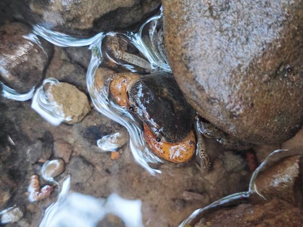 三貂嶺瀑布百大任務解鎖2957922