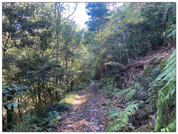 武界山、獅凸魯山、橫屏山、橫屏山西峰 連走2846122