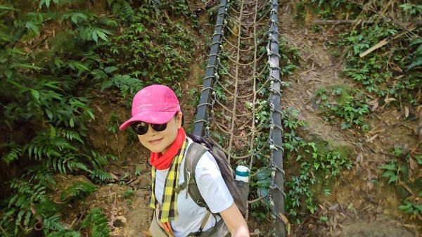 望古瀑布~嶺腳瀑布+深坑美食.阿柔洋.貓空2858430