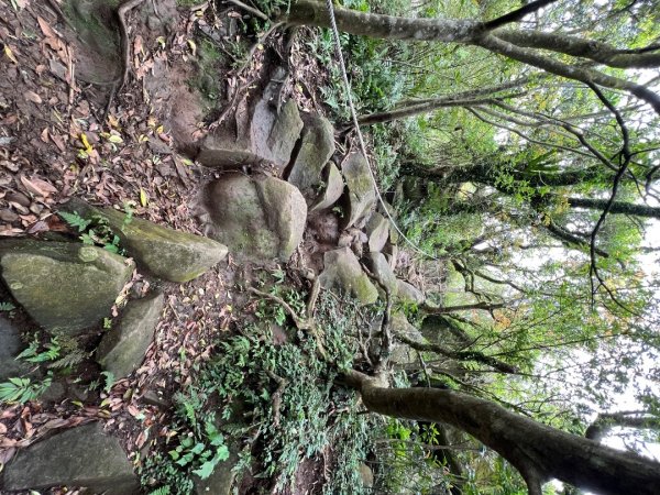 4/12台北大縱走第二段小油坑到二子坪2763655