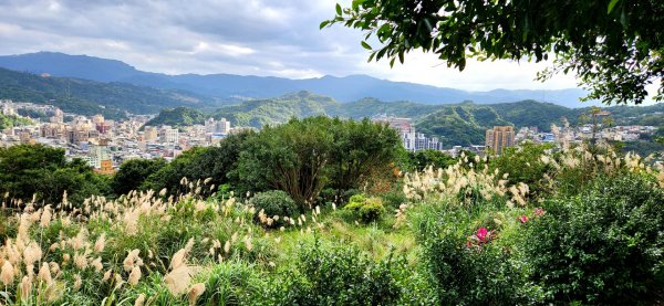 磺嘴山，翠翠谷，擎天崗，孝子山，慈母峰，普陀山，嶺腳瀑布，基隆曾子寮山，地標景觀台步道1966798