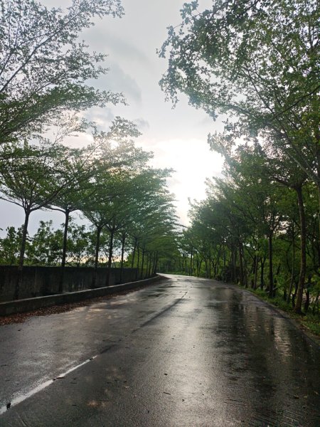 白河店仔口景觀公園2877456