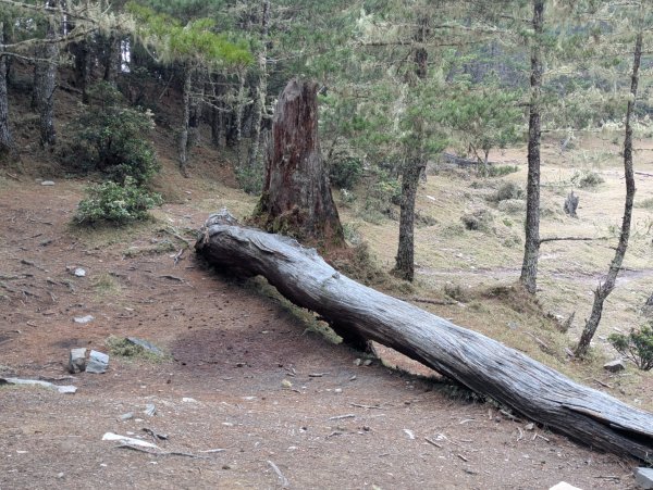 戒茂斯上嘉明湖雪景_2025/03/15-182782384