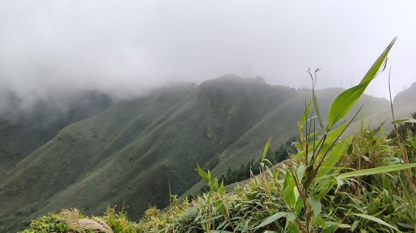 總在峰迴路轉時∥陽明山小觀音山