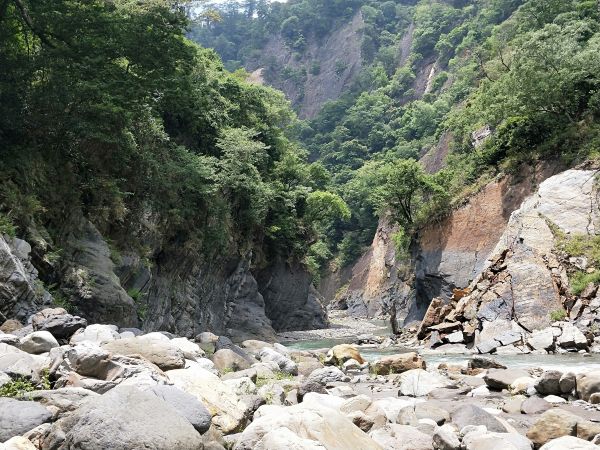 惠蓀林場青蛙石遺址步道398097