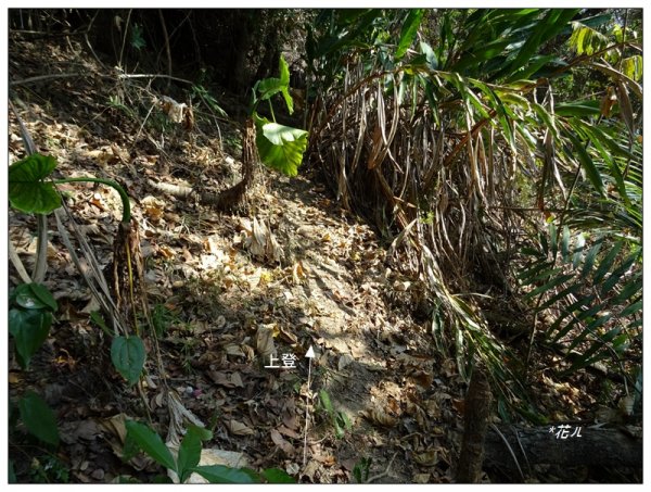 坪林山/台中-太平1283414