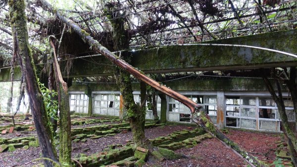 雙龍林道上巒安堂西巒大山1778599