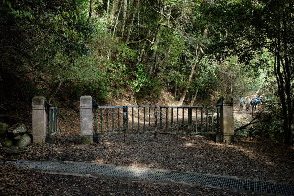 苗栗泰安 | 雪見‧初探北坑溪古道2700061