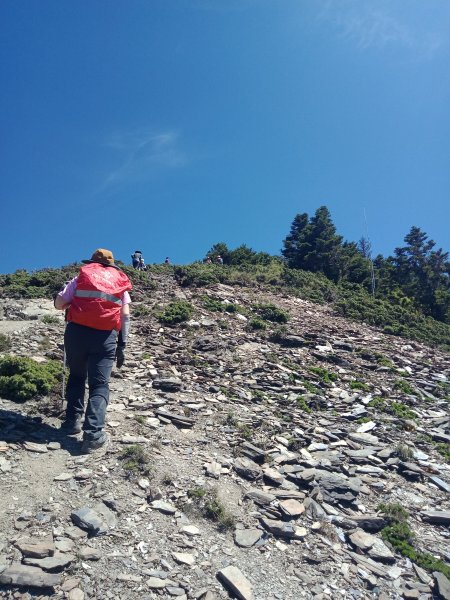 【高雄台東】二日南橫三星 百岳#77 關山嶺山、#71 塔關山