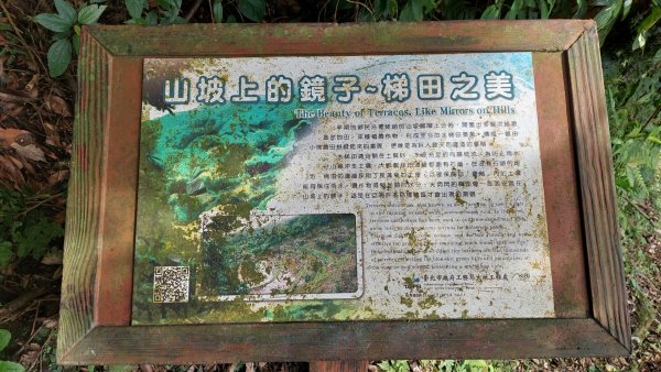 坪頂古圳山上走走1575031