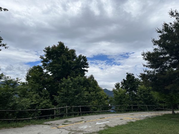 2025_0524 司馬庫斯神木群步道2797182